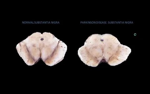 Субстанция на русском