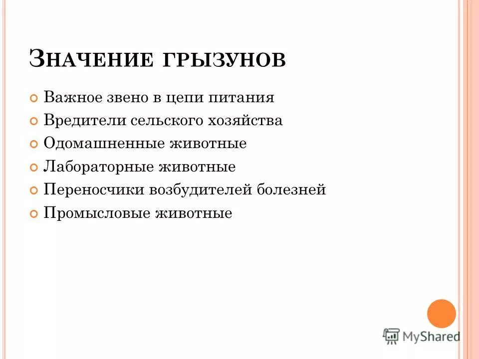 грызуны роль в природе и жизни человека. значение грызунов в природе. значение птиц в жизни человека. значение зайцеобразных в жизни человека. значение отряда грызунов.