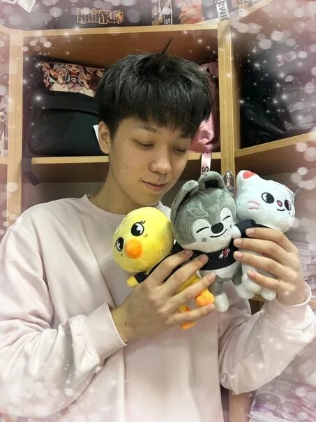 Pop игрушки stray kids. Чонин stray kids. Ли мин хо stray kids. Какие игрушки у stray kids. Игрушка антистресс хорек.