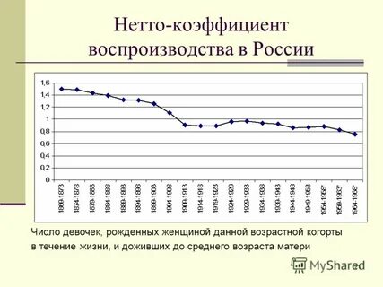 Нетто коэффициент