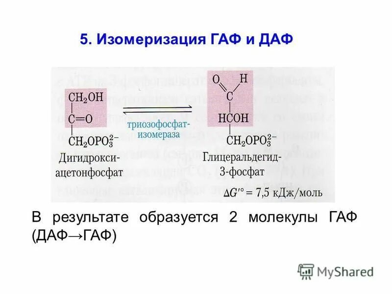 схема включения галактозы и фруктозы в гликолиз. фруктозо-6-фосфат фруктозо-1. фруктозо 6 фосфат в глицеральдегид 3 фосфат. синтез таг. уравнение реакции окисления фруктозы.