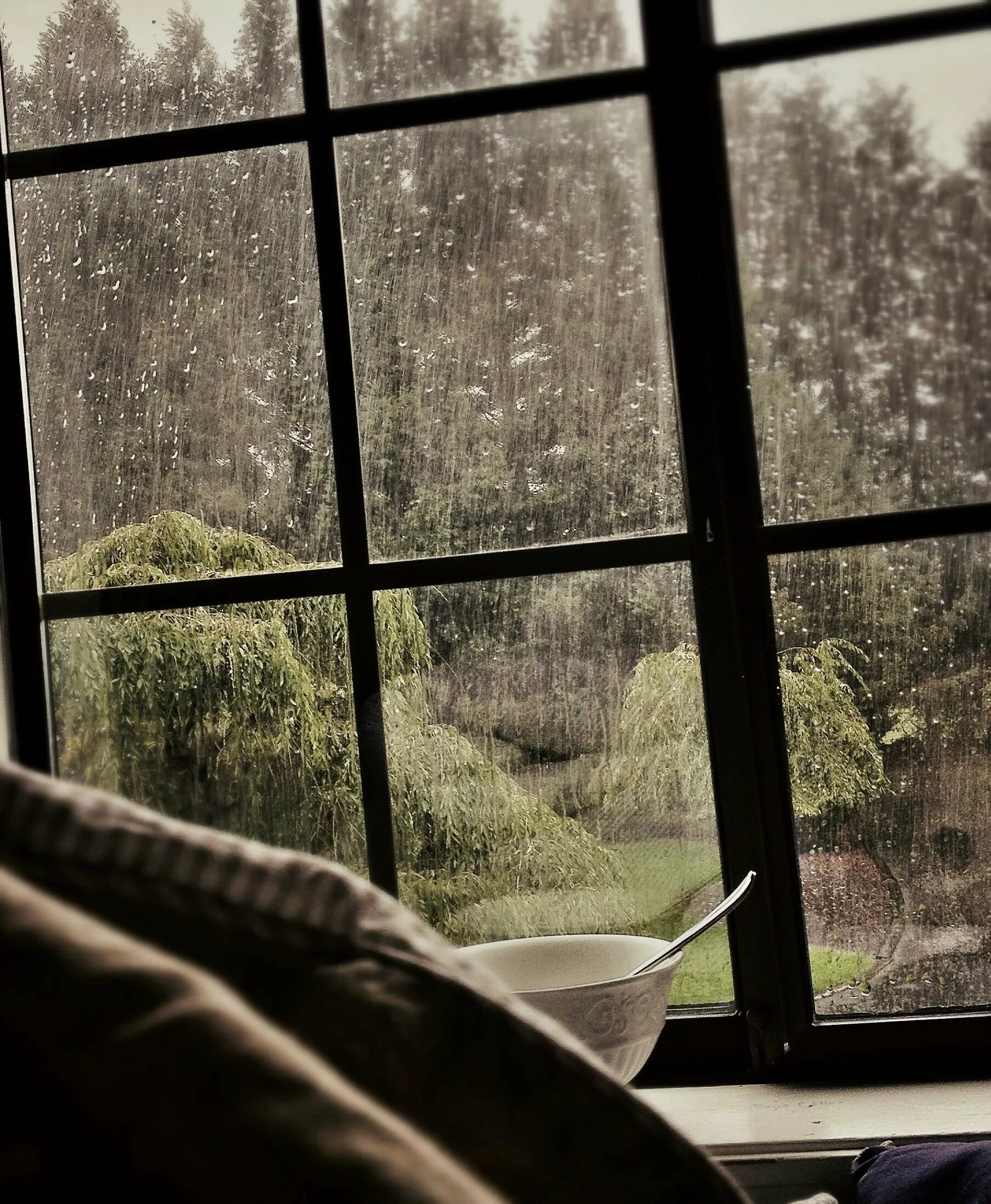 Дождь за окном. Дождь в окне. Дождливый вид из окна. Окно с видом на природу. Видеть за окном дождь