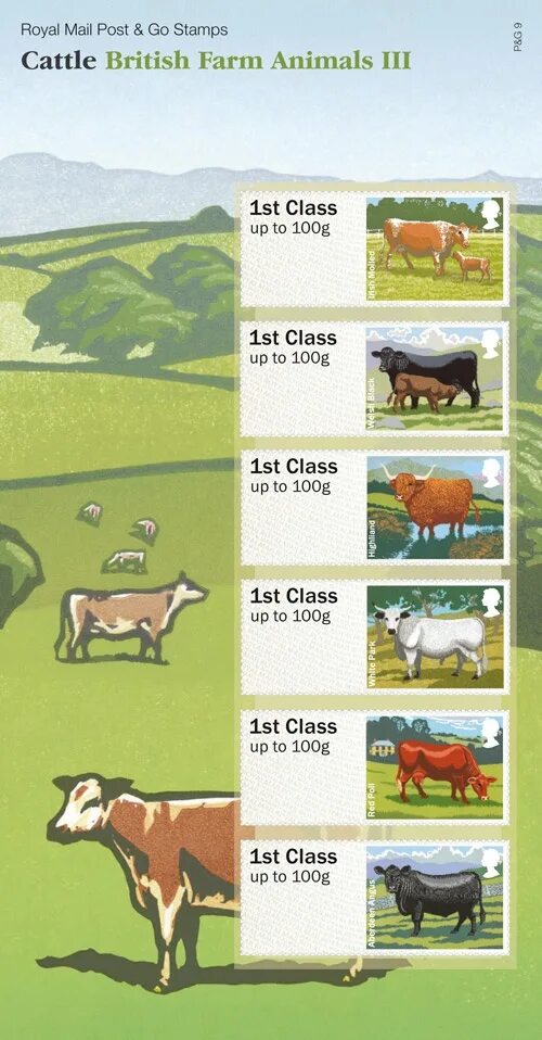 Британская корова. Cattle перевод на русский язык с английского. On the farm текст. Apple tree book for kids. Животные английский для детей карточки.