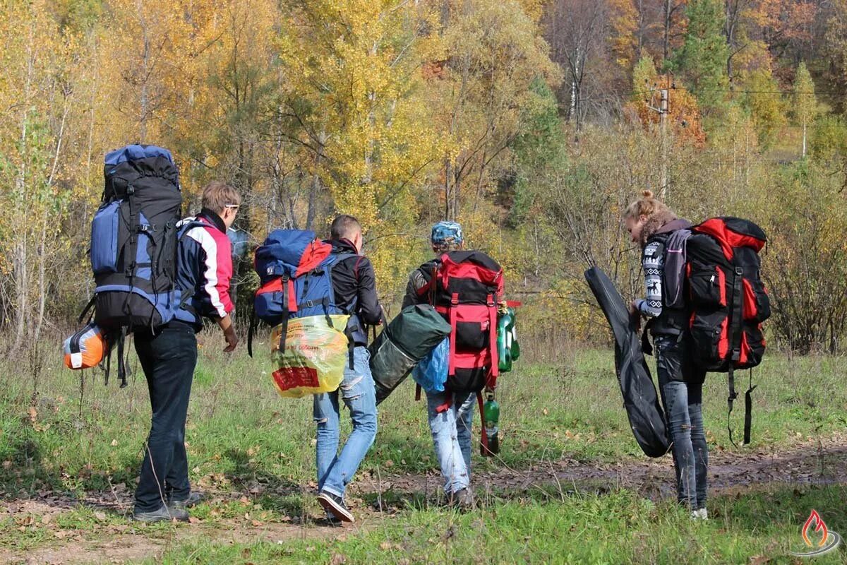 Группа туристов за 1 день. Туристский поход. Туристический поход в лес. Туристы в лесу. Туризм в лесу.