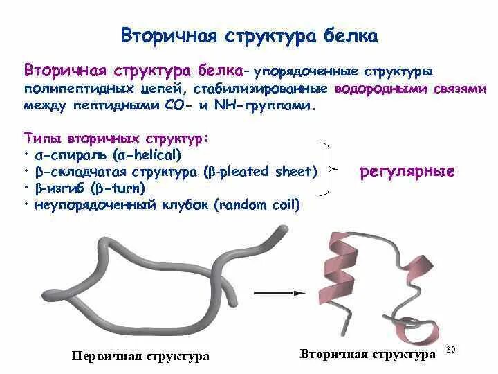 Вторичная структура белка биохимия. Типы вторичной структуры белка. Разновидности вторичной структуры белка. Нерегулярные вторичные структуры белка.