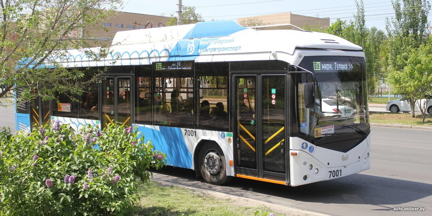 Новые троллейбусы в 2024 году. Новый троллейбус. Новые троллейбусы 2024. Номера троллейбусов обслуживающих рынок. Новый троллейбус Ярославль 2024.
