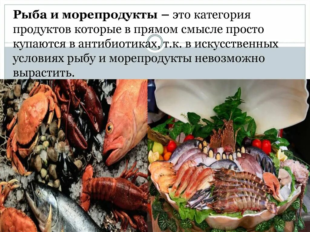 Морепродукты в питании человека. Полезные морепродукты для человека. Сообщение рыба и морепродукты. Сообщение о морепродуктах.