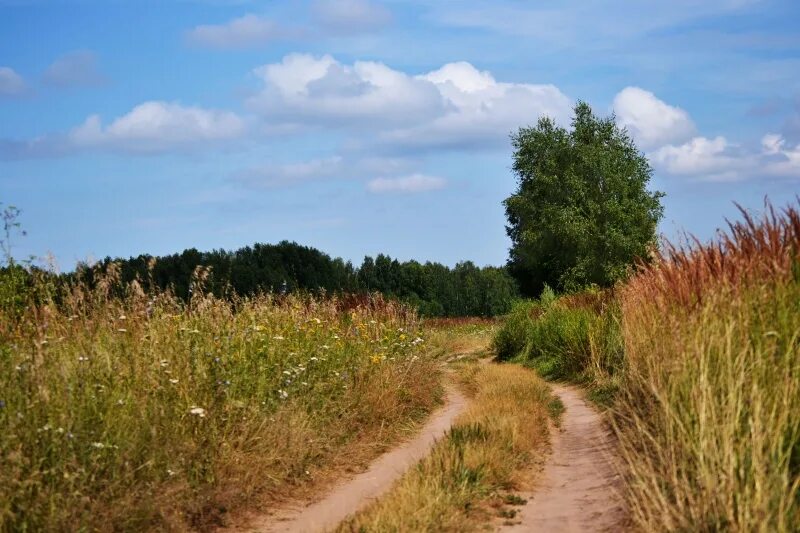 Село просторе. Село просторы. Привольные просторы. Родные Нивы. Урочище Ташлянский склон.