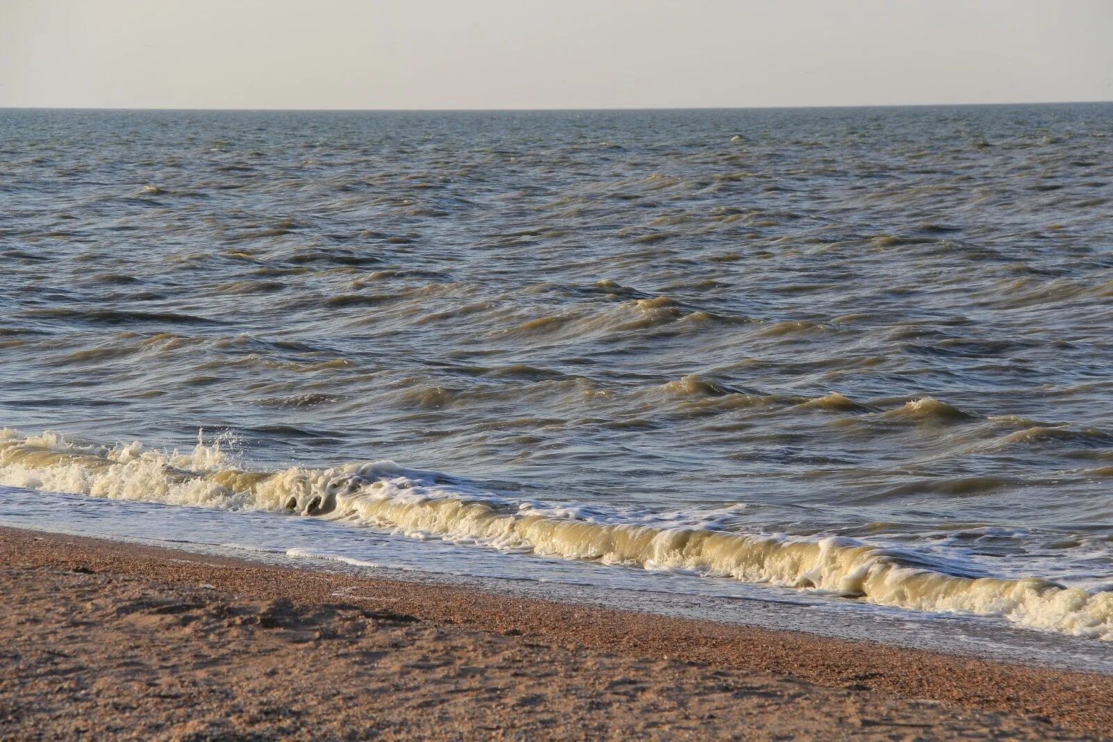 Вода в заливе сегодня