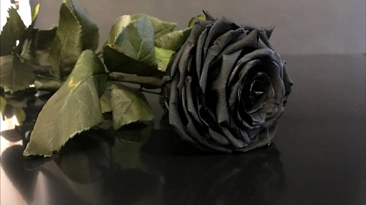 Черные розы значение. Черные розы букет. крашенные черные розы. композиция с черными розами.