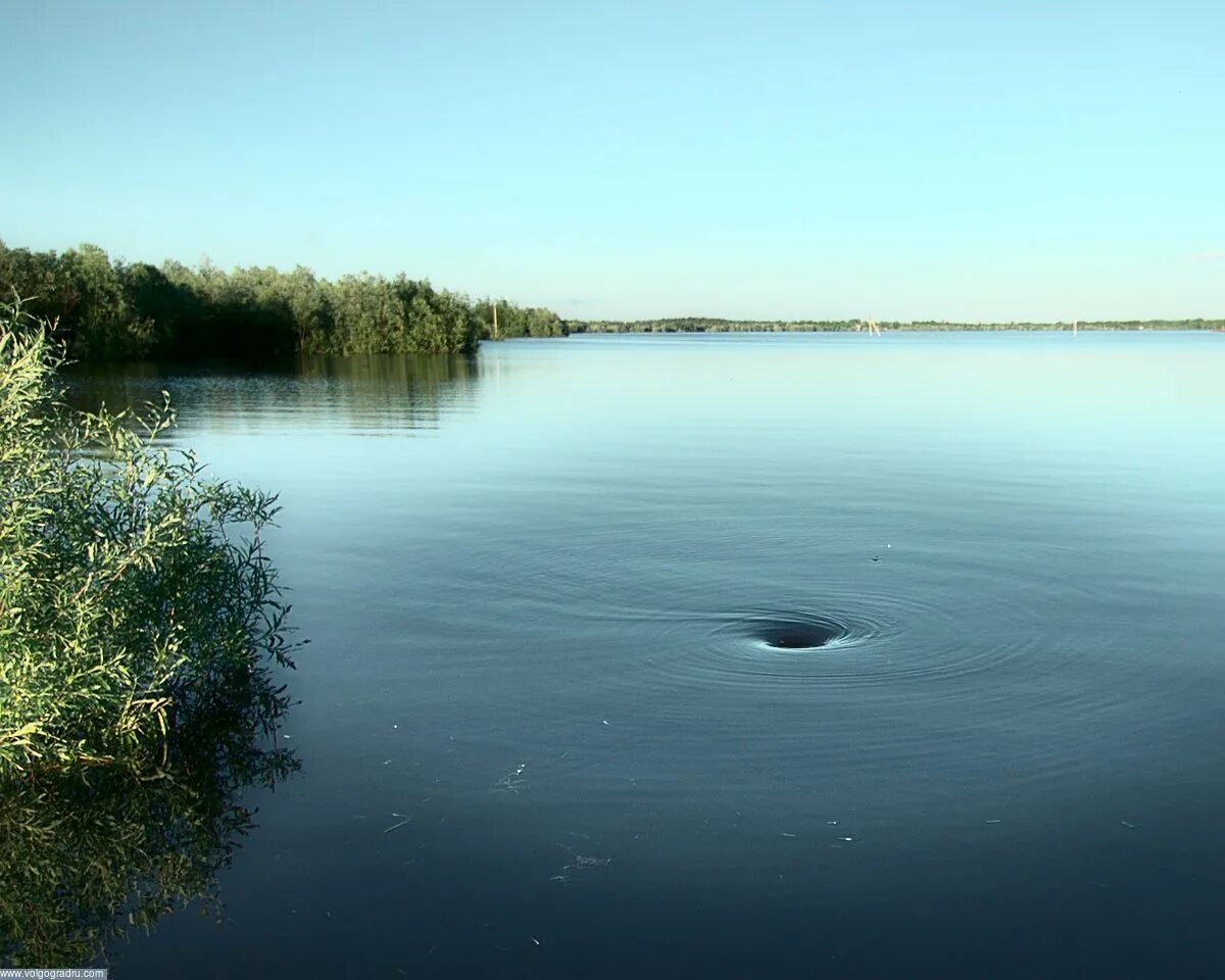 Омут на реке. Рыба Плещеева озера. Озеро тихий омут. Что такое омуты и водовороты на реках. Теплое озеро суводь