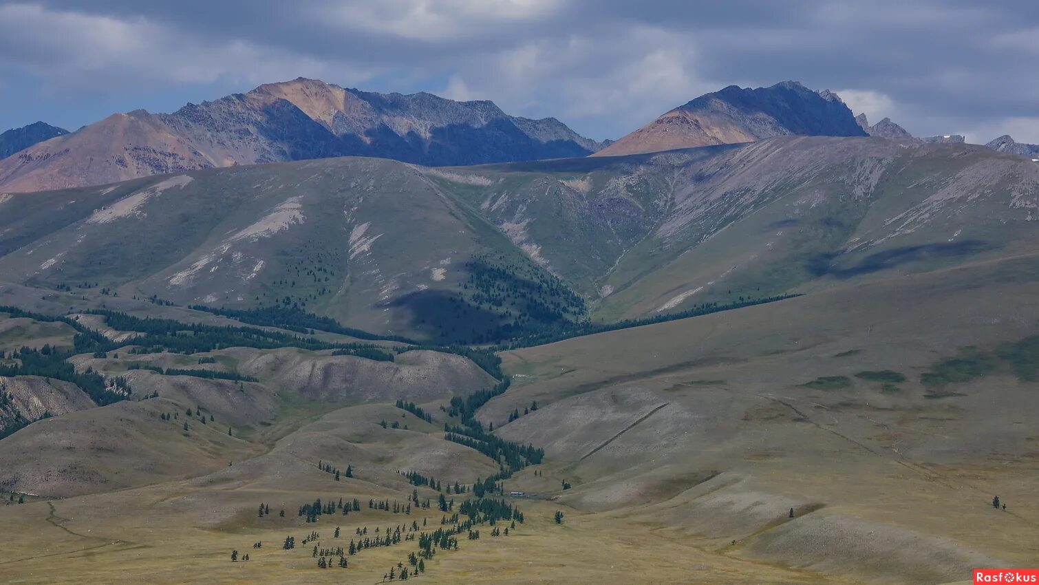 Курайский хребет горный Алтай. Курайская степь горный Алтай. Курайский хребет Алтай август. Горы Курайского хребта. Направление горных хребтов горы алтай