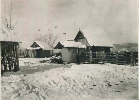 Село глубинное приморский