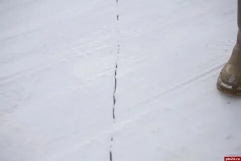Чудское озеро 2024