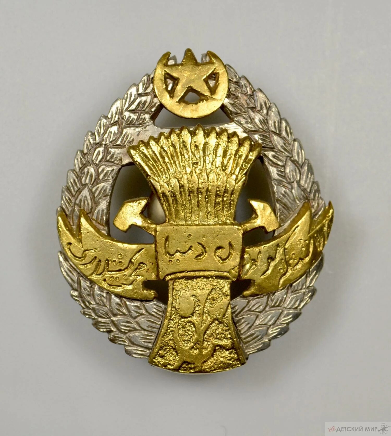 орден красного знамени хорезмской народной советской республики. орден трудового красного знамени хорезмской сср. орден труда хорезмской народной советской республики. орден труда хорезмской нср. орден труда хнср.