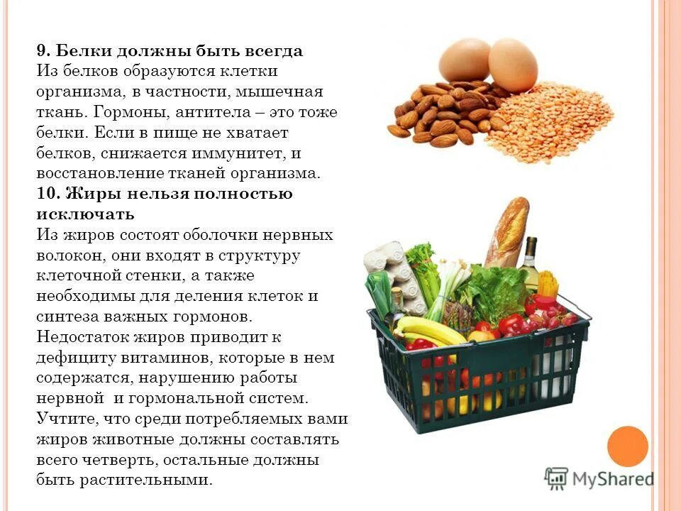 как понять что тебе не хватает белка в организме. дефицит белка в организме симптомы. не хватает белка. недостаток белков в организме. дефицит белков в организме.
