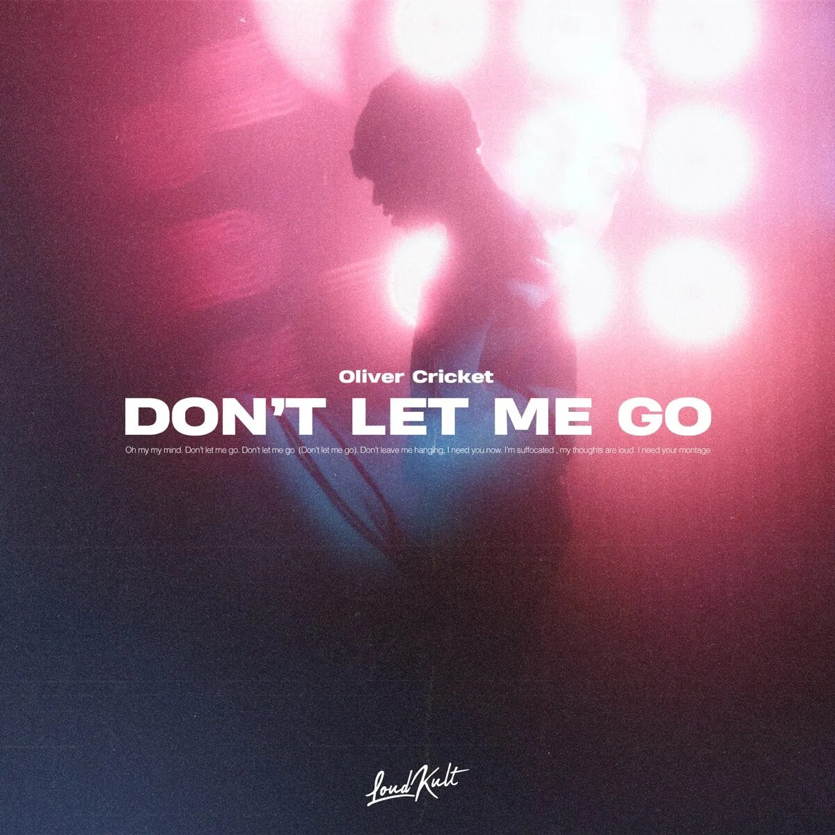 Песня i don t let go. Don&#039;t let me go картинки красивые.