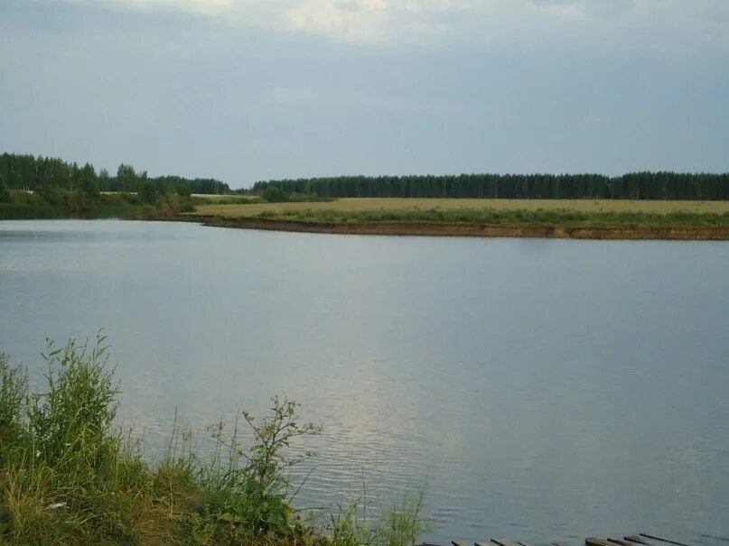 Деревня ситовка тамбовская область. Деревня скобелевка тамбовская область. Староюрьево крутовское. Поповка тамбовская область. Поповка курск.