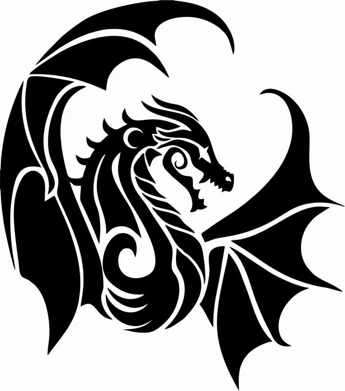 Дракон Draco вектор. Символ дракона тату. Стилизованное изображение дракона. Дракон черно белый. Трафарет 2024