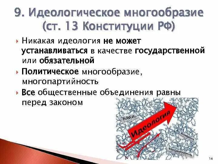 Идеологическое многообразие в Конституции. Идеологическое многообразие статья Конституции. Гарантия идеологического многообразия Конституция РФ. Политическое многообразие статья. Плюрализм мнений в конституции рф