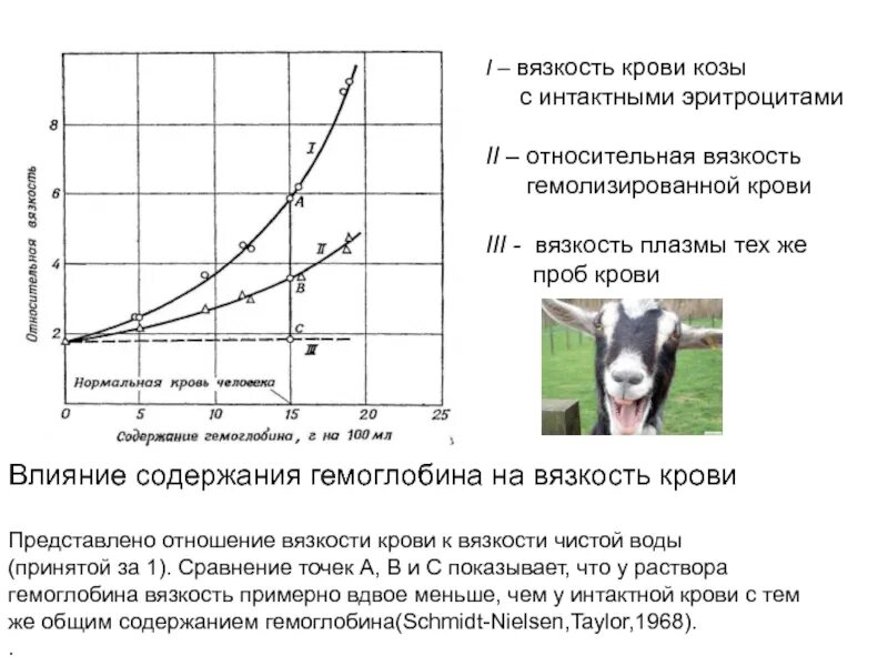 Вязкость крови вязкости воды. Вязкость крови. Относительная вязкость крови. Вязкость плазмы крови. Вязкость крови и воды.