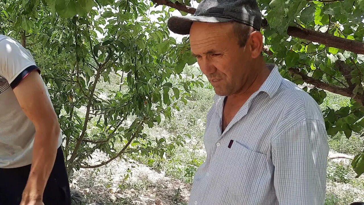Surxondaryo angor tumani. Об ?аво ангор тумани. Об ?аво ангор тумани. Сурхондарё ангор тумани. Пагода сурхандарйо сариосиё.