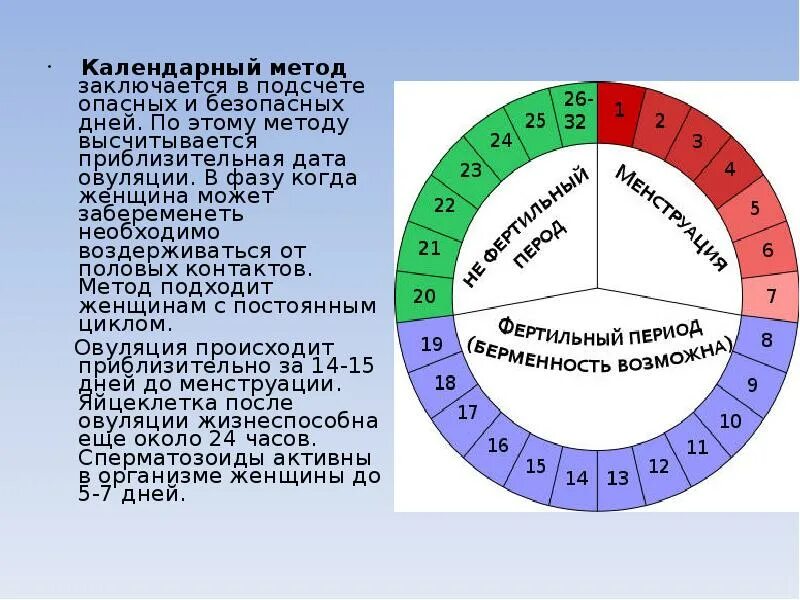 Возможно ли забеременеть во время. Календарный метод предохранения. календарный метод контрацепции. когда можно забеременеть. цикл у женщин безопасные дни.