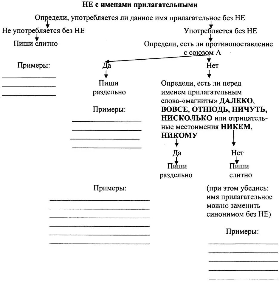 Всегда пишутся с не раздельно прилагательные. Алгоритм написания не с именами прилагательными. Алгоритм правописание не с существительными 6 класс. Схема правописание не с прилагательными. Правописание не с именем прилагательным.