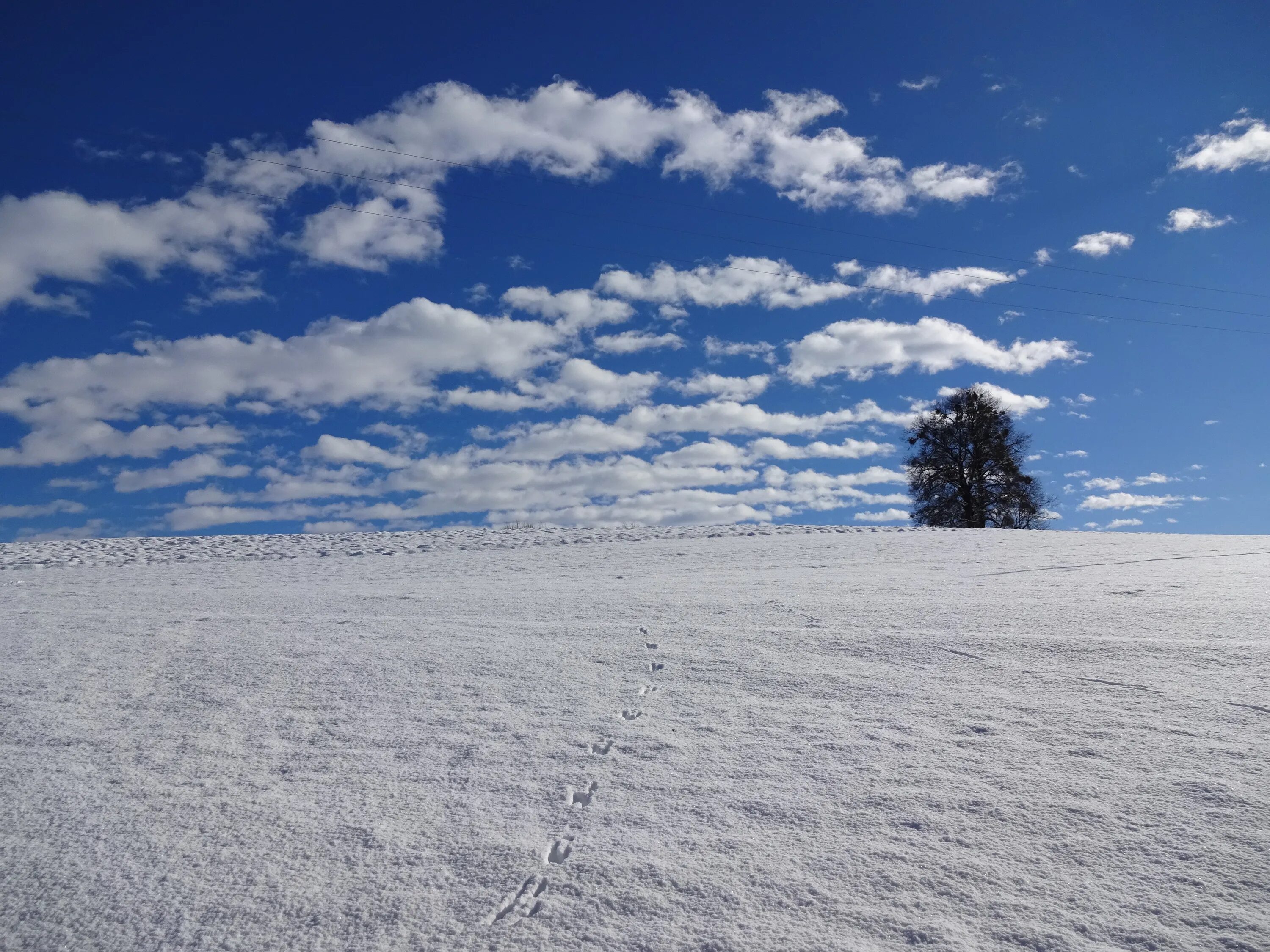 Снежная равнина. Снежное поле. Заснеженная равнина. Снег равнина.