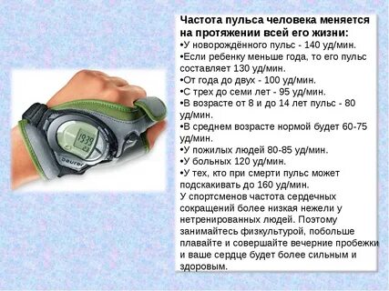 Пульс и здоровье человека