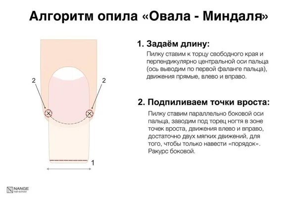 Опил формы ногтей технология для начинающих. Схема опила овальной формы. опил формы. опил формы овал. схема опила формы ногтей овал.