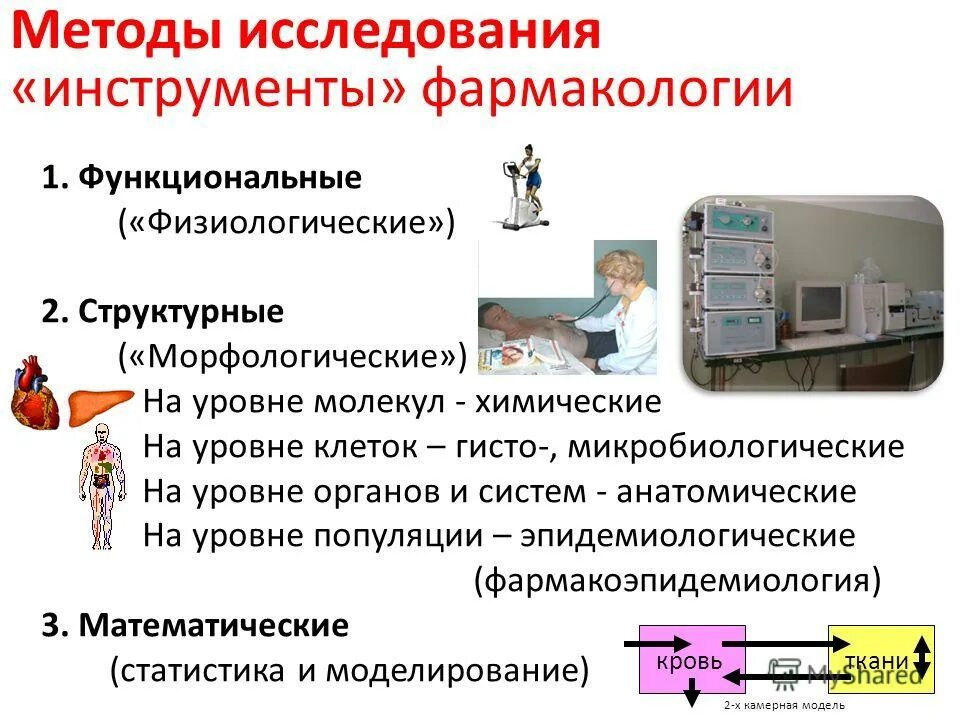 фармакология темы. фармакология темы. общая фармакология план. фармакология темы. фармакология темы.