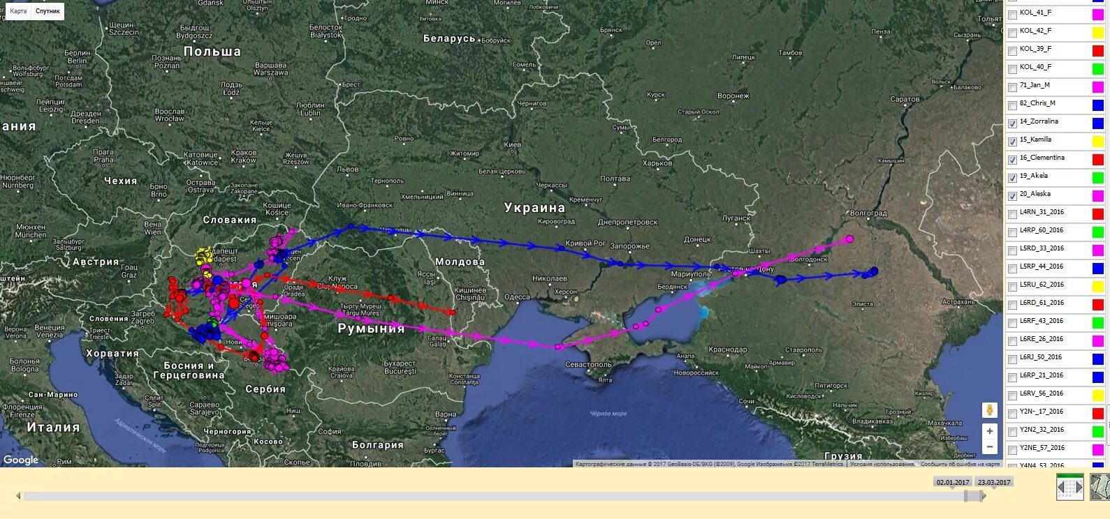 Пролет гуся. Карта миграции гусей 2021. Пути миграции гусей в России. Карта миграции гусей в России. Пути миграции гусей на карте России.