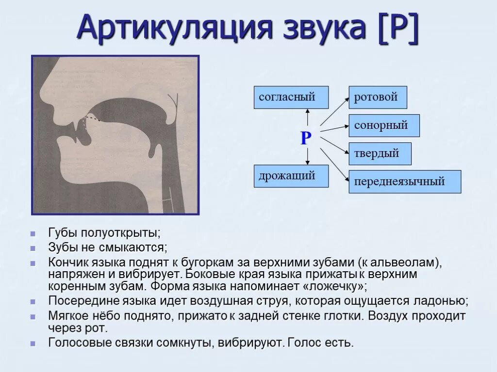 Первая характеристика звука. Артикуляция звука р. Правильная артикуляция звука р. Артикуляционный профиль звука р. Положение органов артикуляции при произнесении звука р.