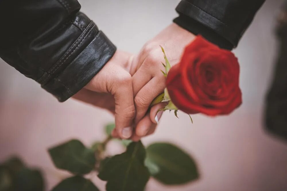 Сколько держатся розы. Цветы в руках мужчины. Дарит розу.