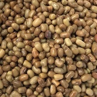 Those beans