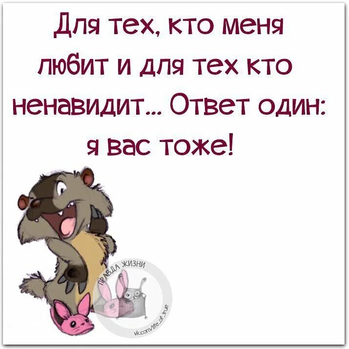 Смешные высказывания. Прикольные фразы. Веселые статусы. Цитаты со смыслом. Ответ взаимностью