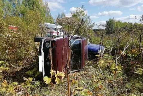 Погода в нолинске на 3