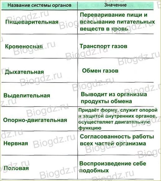 Система органов 7 класс. Таблица по биологии строение и функции систем органов животных. органы и системы органов животных биология 6 таблица. таблица система органов животных 6 класс биология. таблица системы органов и их функции 6 класс биология.
