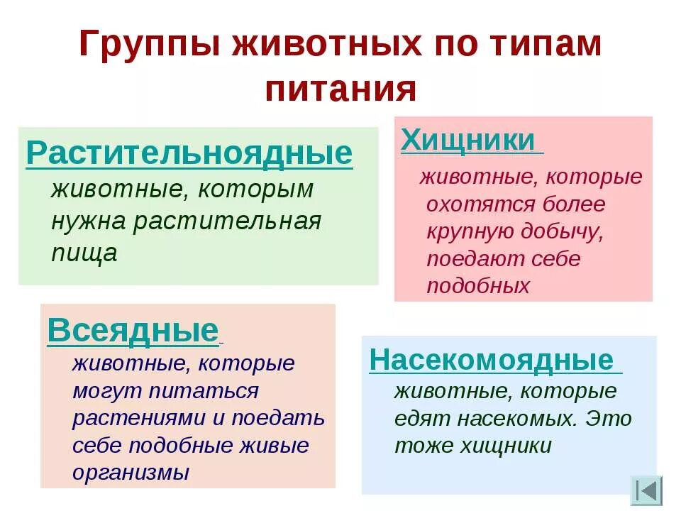 Группы животных по характеру питания