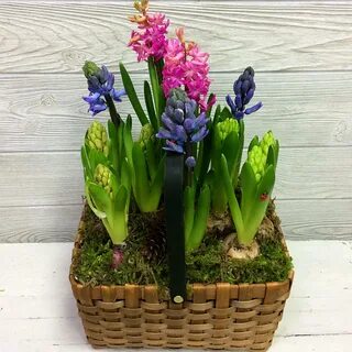 Корзина из гиацинта