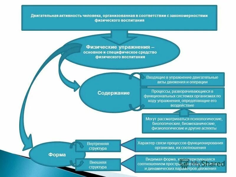 Замысел движения. Формирование программы двигательной реакции. Двигательные моторные программы. Что такое двигательное умение в физкультуре. Содержание двигательной программы.