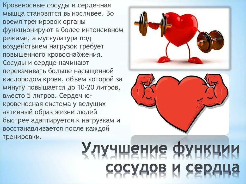 Тренированность сердца. Упражнения для сердечно-сосудистой системы. Упражнения для сердца. Упражнения для укрепления сердца. Упражнения для поддержания здорового сердца.