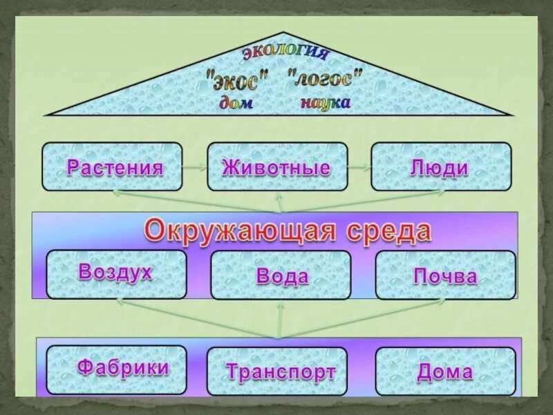 Урок экология 3 класс школа россии. Экология это 3 класс. Экология презентация 3 класс. Что такое экология 3 класс окружающий мир. Что такое экология 3 класс окружающий мир презентация.