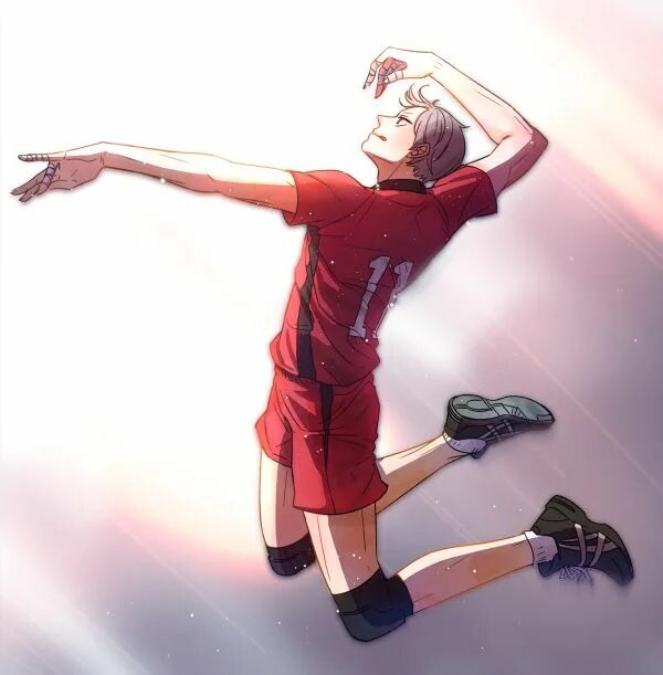 Львы про волейбол. Лев хайба волейбол. волейбол некома лев.