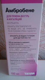Как принимать амбробене внутрь взрослым