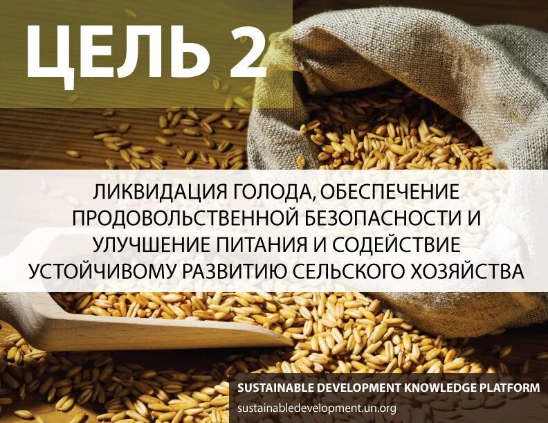 Цели устойчивого развития ликвидация голода. Цель 2 ликвидация голода. Ликвидация голода презентация. Ликвидация голода, обеспечение продовольственной безопасности и. Экономика голод