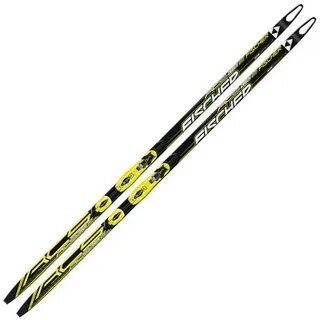 Fischer black