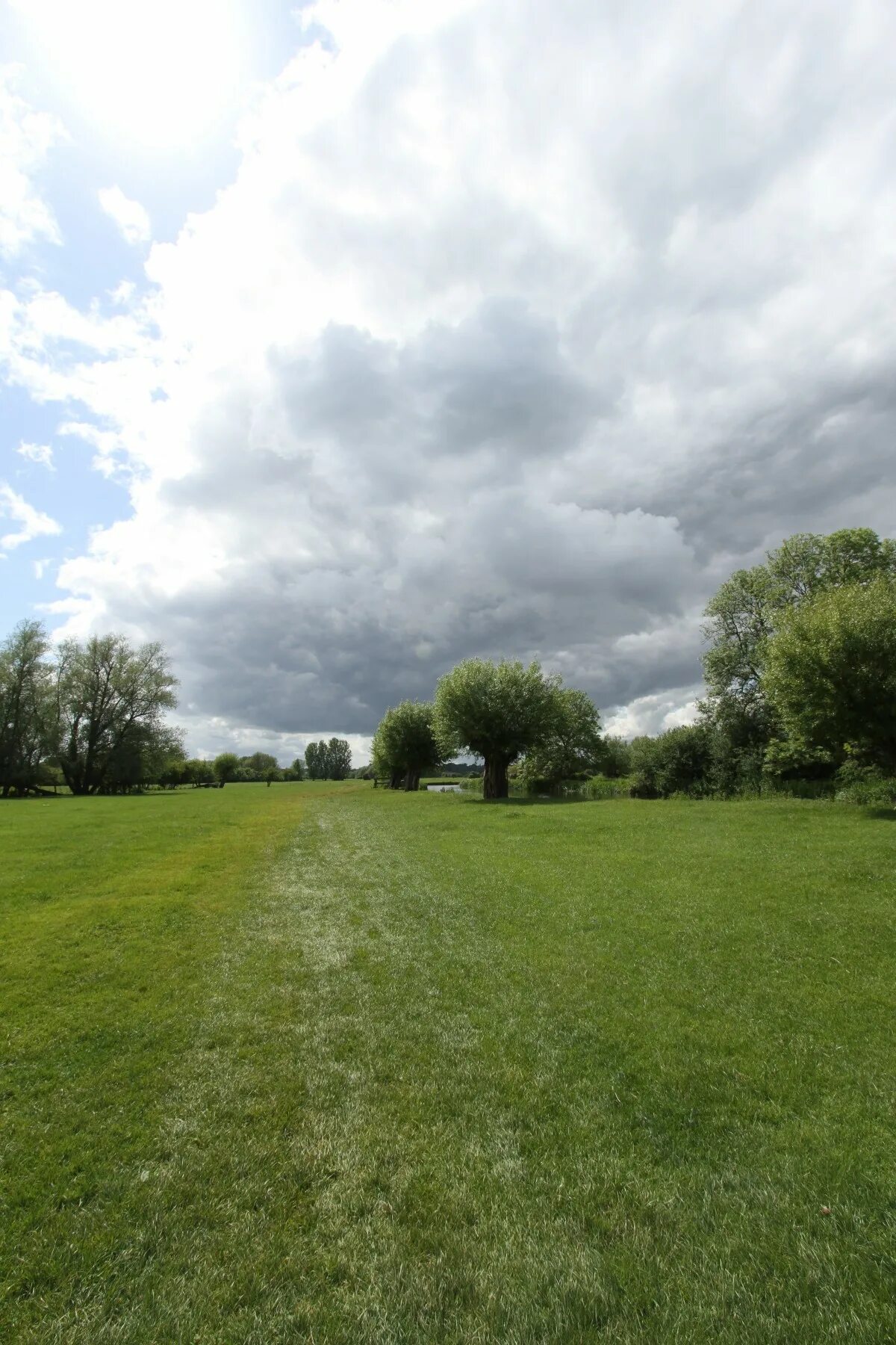 Cloud field