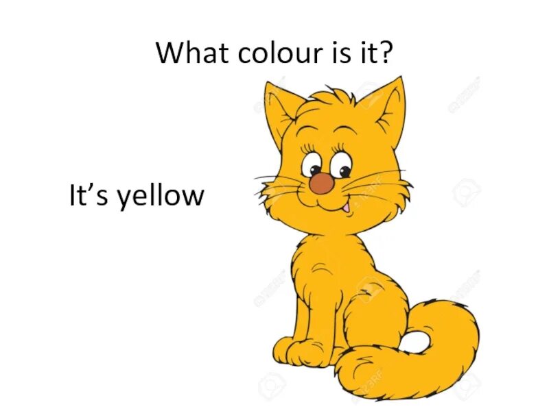What Colour is it. Герои сказки Репка по отдельности кошка. What Colour is this. Желтый кот картинка для детей. Игры желтый кот